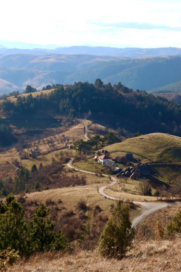 Vila Zorica Vodice Leilighet Zlatibor Eksteriør bilde