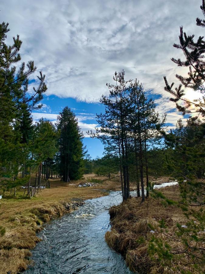 Vila Zorica Vodice Leilighet Zlatibor Eksteriør bilde