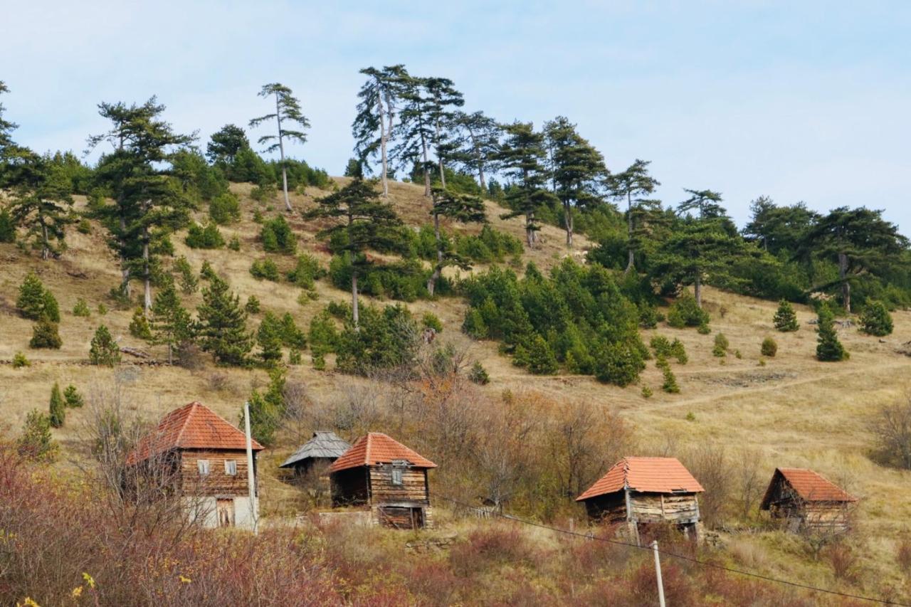 Vila Zorica Vodice Leilighet Zlatibor Eksteriør bilde