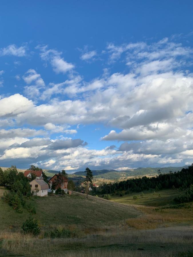 Vila Zorica Vodice Leilighet Zlatibor Eksteriør bilde