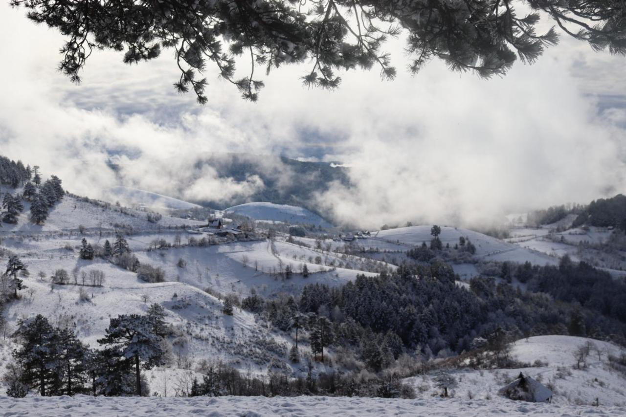 Vila Zorica Vodice Leilighet Zlatibor Eksteriør bilde