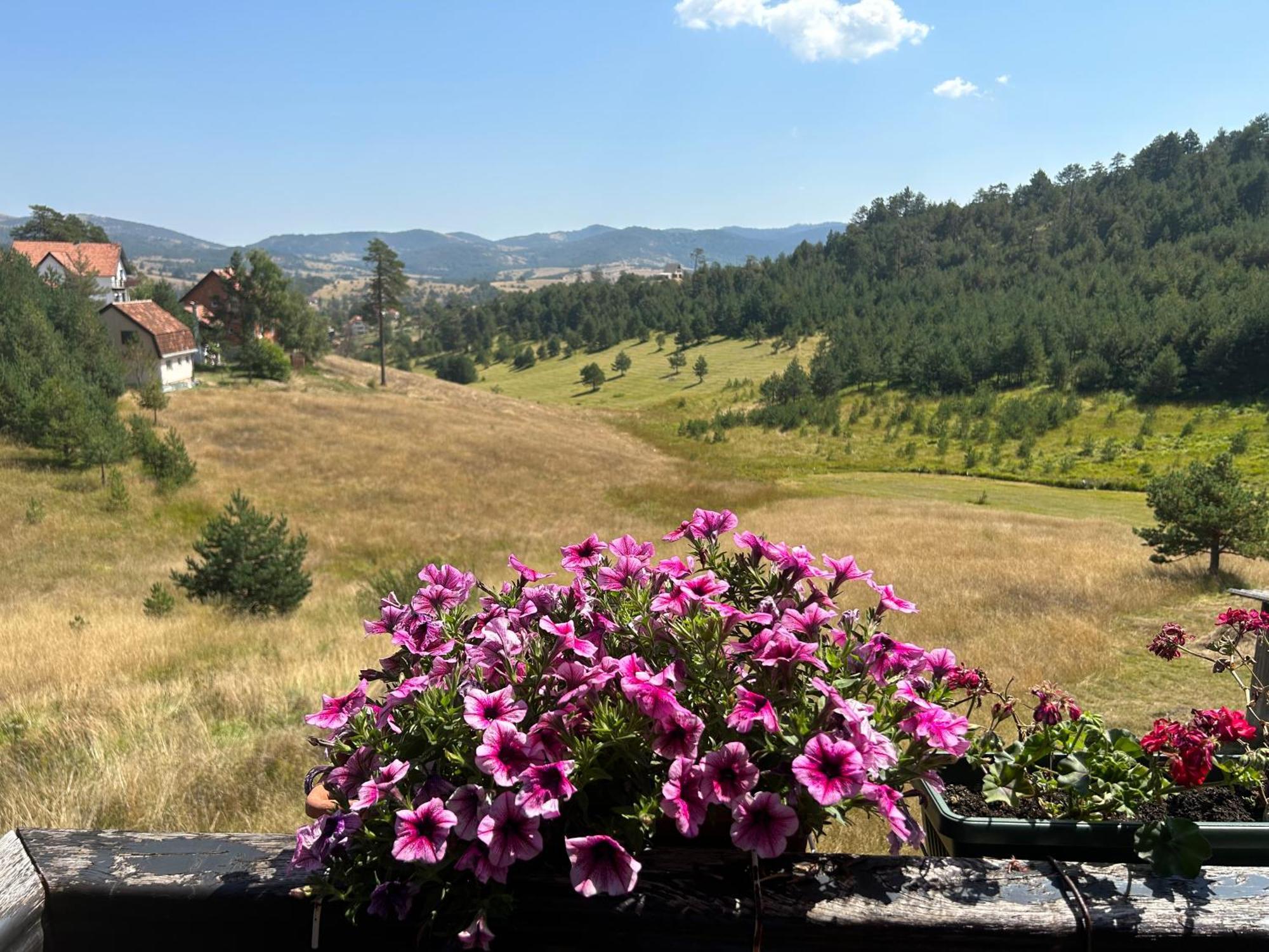 Vila Zorica Vodice Leilighet Zlatibor Eksteriør bilde